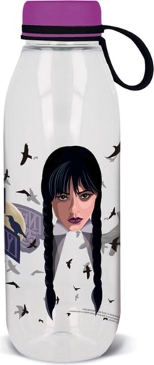 Bouteille Ecozen Wednesday 650 ml