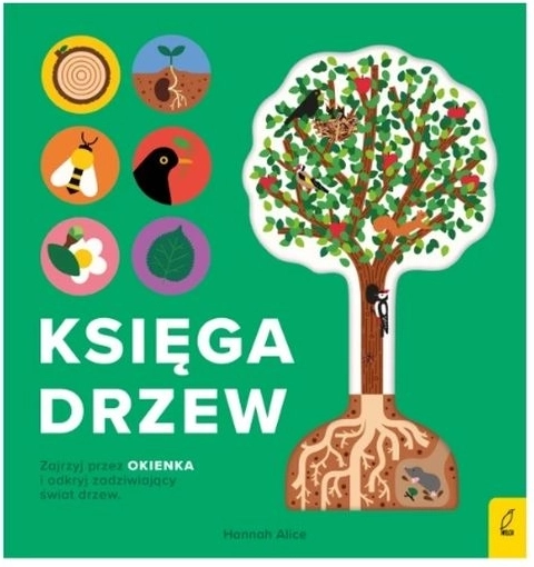 Encyclopédie avec films transparents – Le livre des arbres