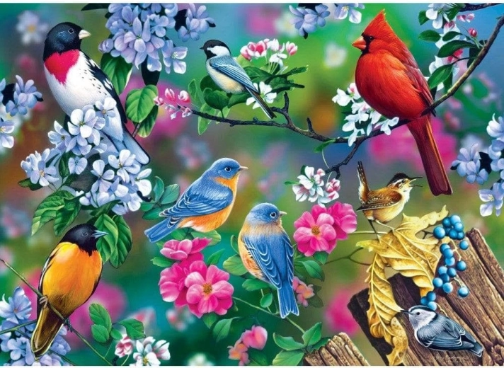 Puzzle Masterpieces Audubon collage d’oiseaux chanteurs 1000 pièces