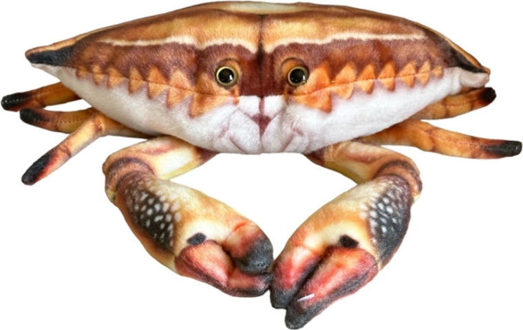 Crabe en peluche 31 cm