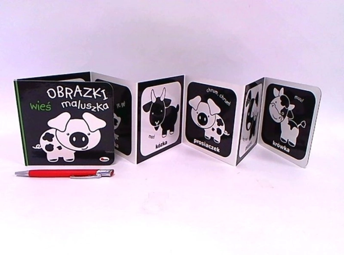 Obrazki maluszka : Village – livre d’images pour enfants sur le village (polonais)