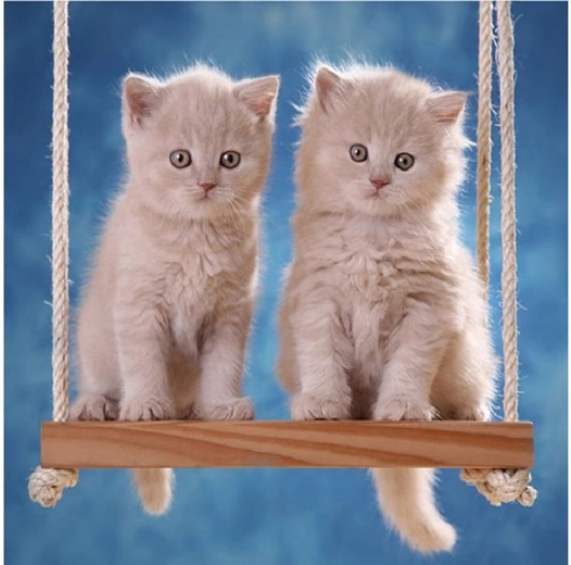 Broderie diamant (diamond painting) chatons sur une balançoire 30 × 30 cm