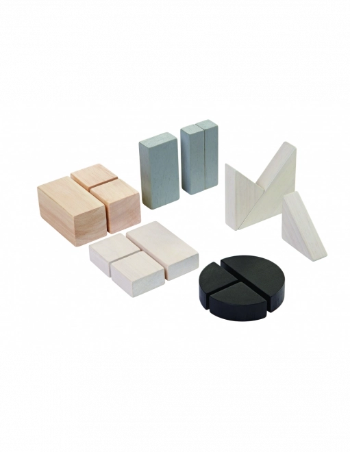 PlanToys cubes fractionnaires en bois pour l’apprentissage des fractions