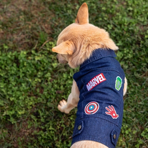 Vêtement en jean Cerda pour chien Marvel, taille S - 1 pièce