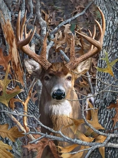 Peinture diamant – Regard du cerf 30 × 40 cm