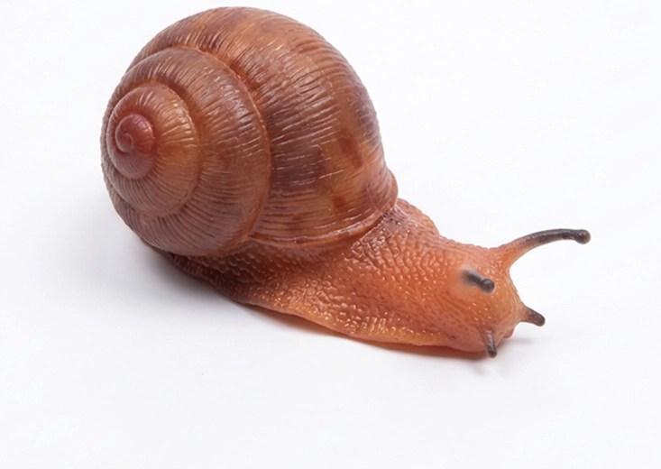 Escargot en caoutchouc 13 cm