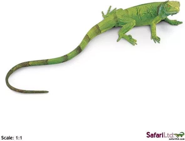 Safari Ltd. bébé iguane vert - 1 pièce