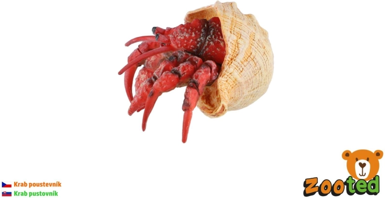 Crabe ermite en plastique 7 cm