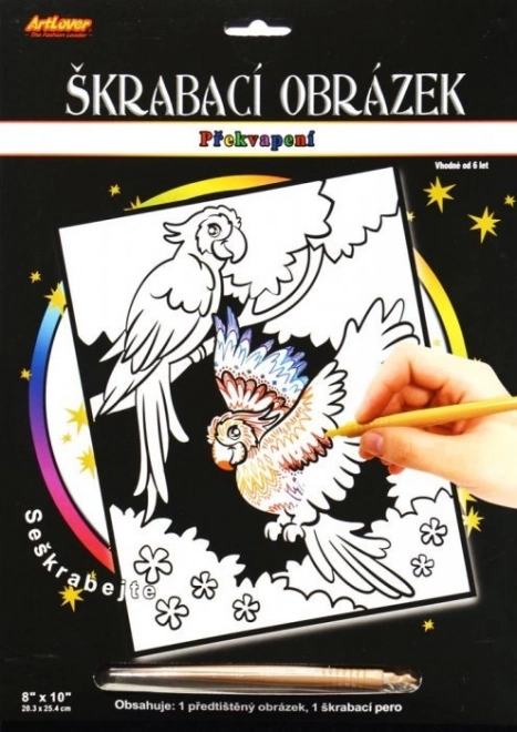 Image à gratter avec surprise Deux perroquets 20x25 cm