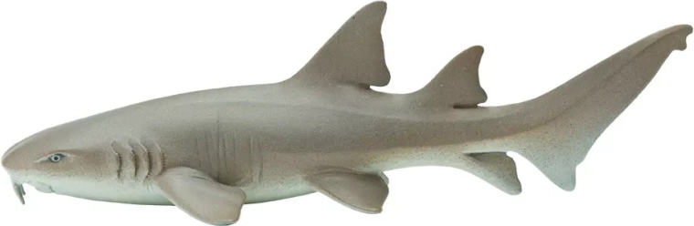 Requin nourrice Safari Ltd. - 1 pièce