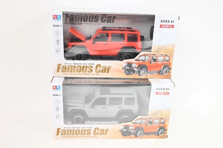 Voiture tout-terrain radiocommandée avec batterie incluse