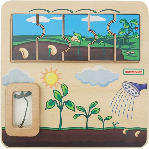 Planche éducative en bois Masterkidz – cycle de vie du haricot