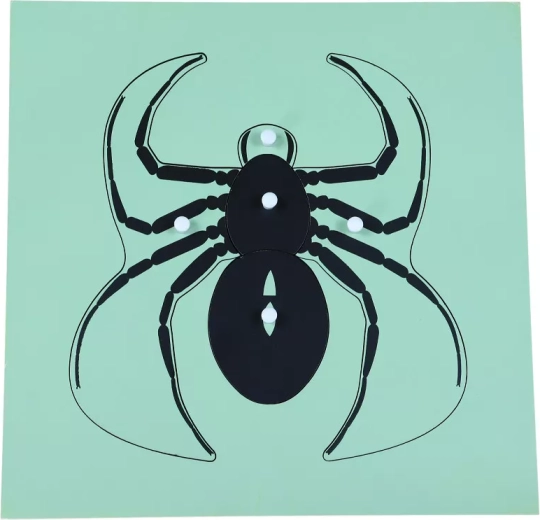 Puzzle Montessori araignée