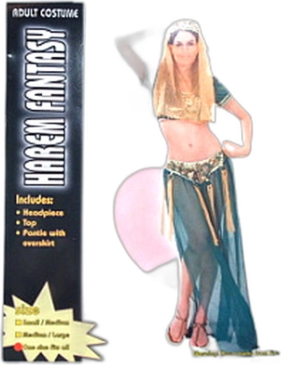 Costume de danseuse de harem pour adultes - 1 pièce