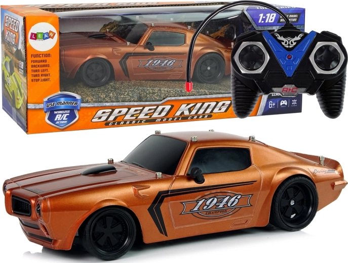 Voiture de sport R/C 1:18 Champion Pilot marron