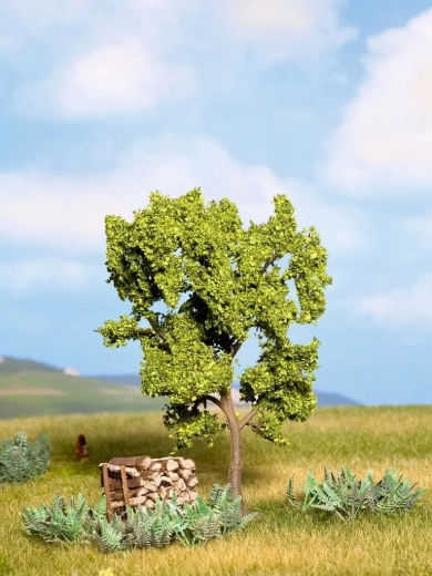 POIRIER NOCH (arbre miniature) 11,5 cm