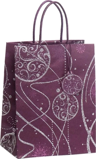 Sac cadeau de Noël Argus DeLuxe Eco Friendly 18 x 23 cm - 1 pièce