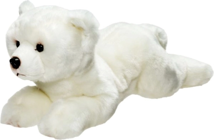 Ours polaire