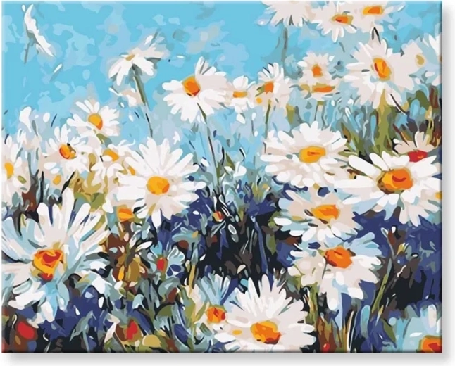 Norimpex Peinture par numéros Marguerites 40 x 50 cm