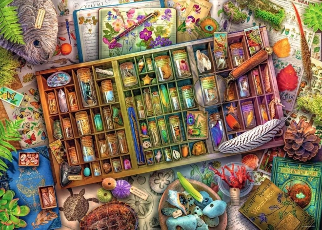 Ravensburger puzzle Collection d’histoire naturelle 1000 pièces