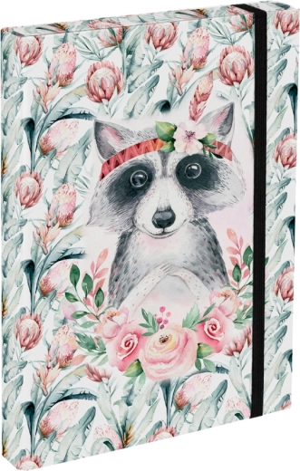 BAAGL Chemises pour cahiers scolaires A4 Raton laveur