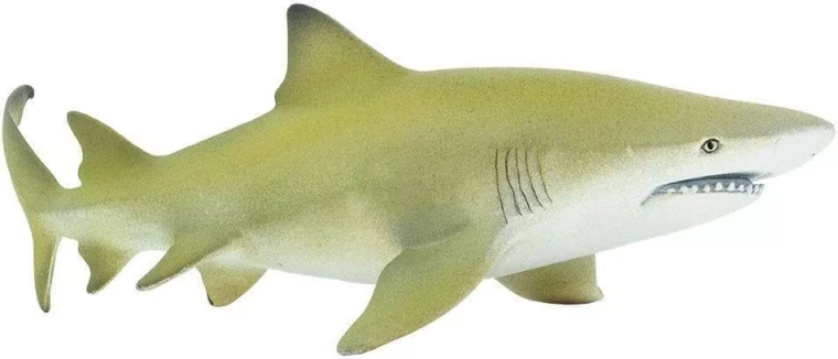 Figurine de requin citron Safari Ltd.