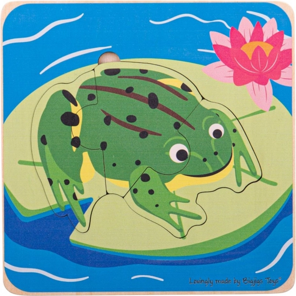 Puzzle pour enfants cycles de vie de la grenouille Bigjigs Toys