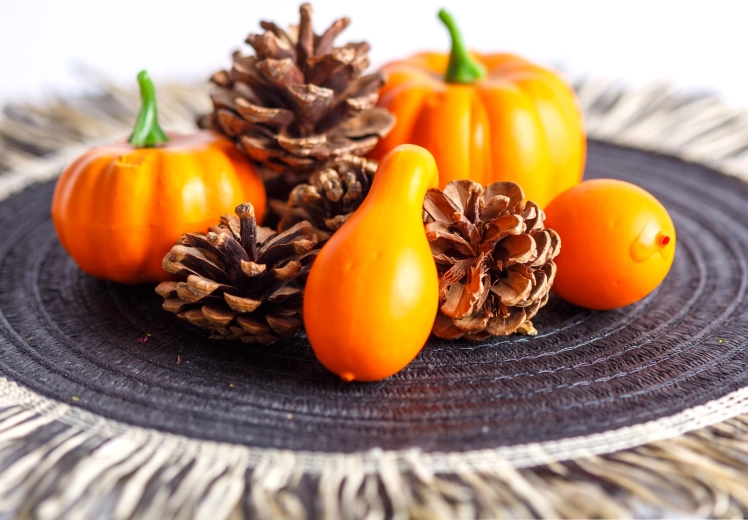 Set décoratif automnal de citrouilles et de pommes de pin, 9 pièces