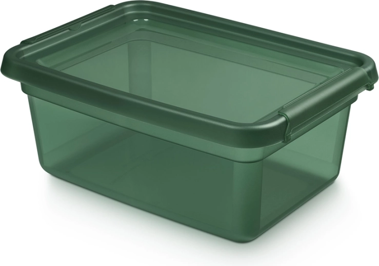 Boîte de rangement en plastique Basestore avec couvercle et clips PINE 12,5 l