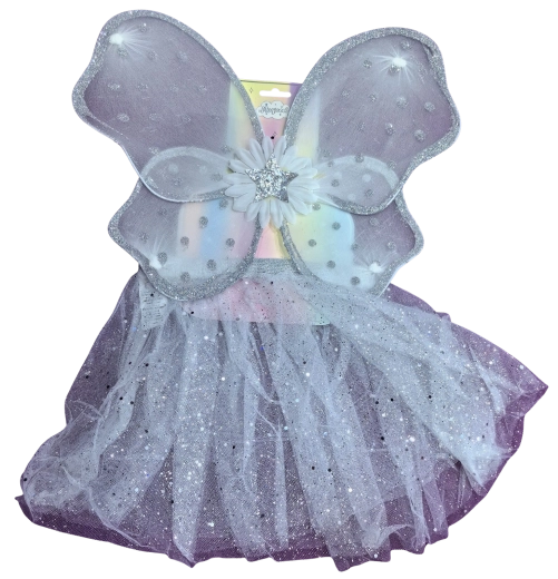 Costume de fée avec ailes argentées et tutu blanc