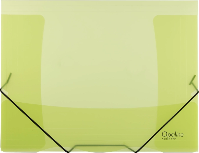 Chemise à élastique OPALINE verte A4