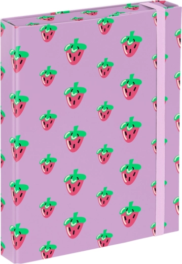 Chemises pour cahiers scolaires A5 Baagl Lavender