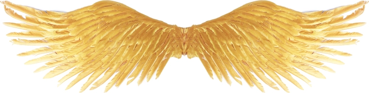 Ailes d’ange dorées pour adultes