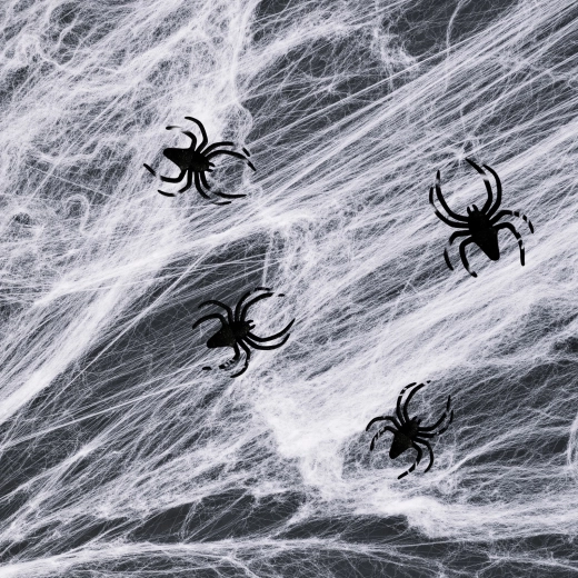 Toile d’araignée blanche d’Halloween avec araignées