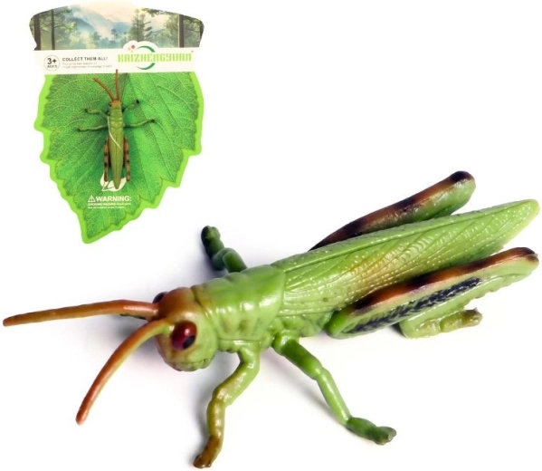 Insecte – sauterelle 9 cm
