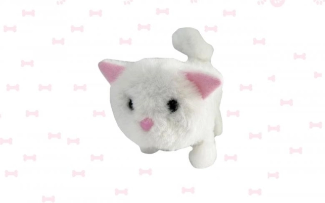 Chat interactif à piles