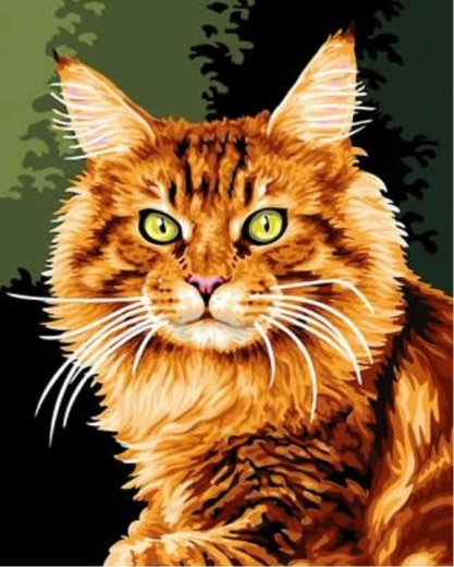 Peinture par numéros - Chat rouge