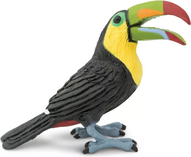 Safari Ltd. toucan à carène