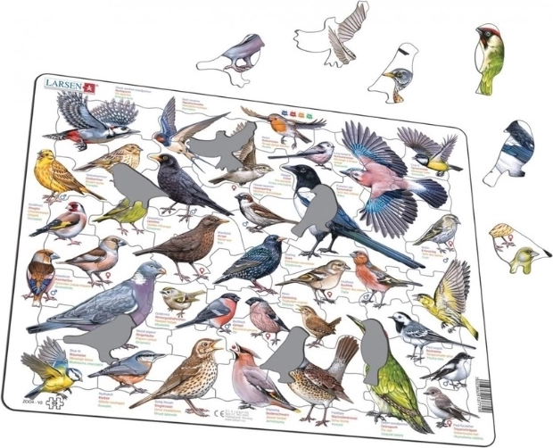 Larsen oiseaux du jardin