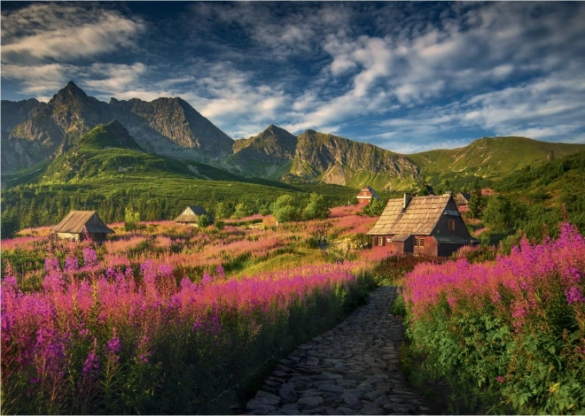 Puzzle Vallée de Gaseinicova 1000 pièces