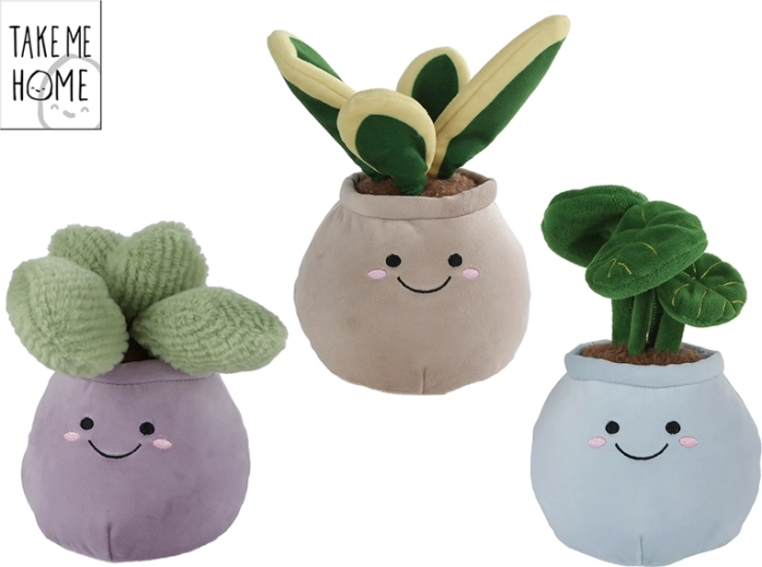 Plante d’intérieur en peluche Take Me Home