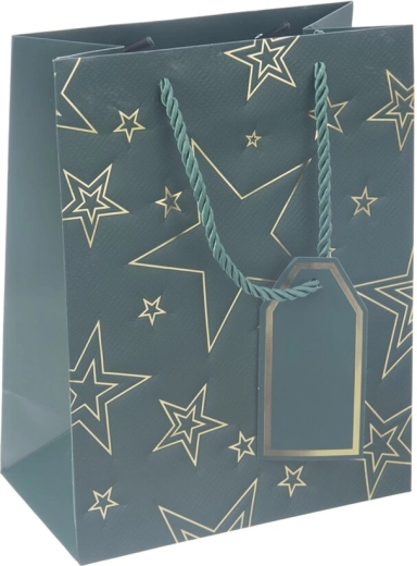 Sac cadeau en papier avec motif étoile verte 18 × 10 × 23 cm