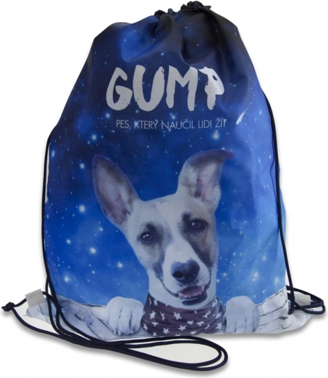 sac pour chaussures d’intérieur GUMP bleu