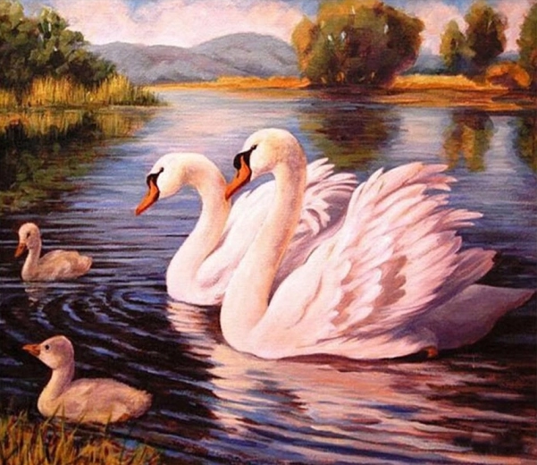 Norimpex Peinture par numéros Cygnes 40 × 50 cm