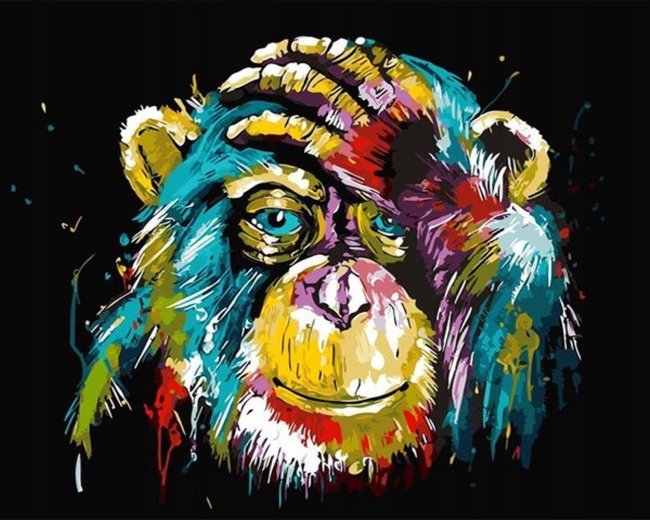 Norimpex Peinture par numéros Singe coloré 40 × 50 cm