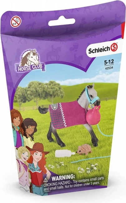 Schleich Horse Club set amusant pour animaux