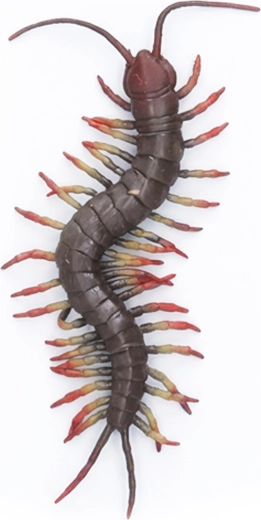 Mille-pattes géant en caoutchouc 23 cm