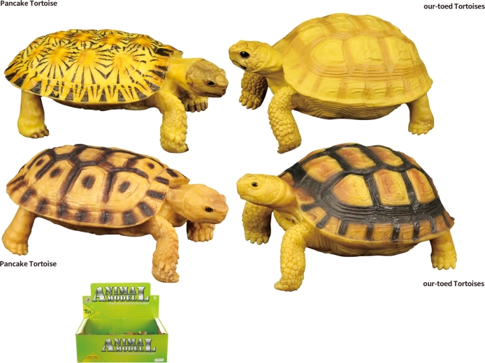 Monde des animaux – jouet tortue, 4 types