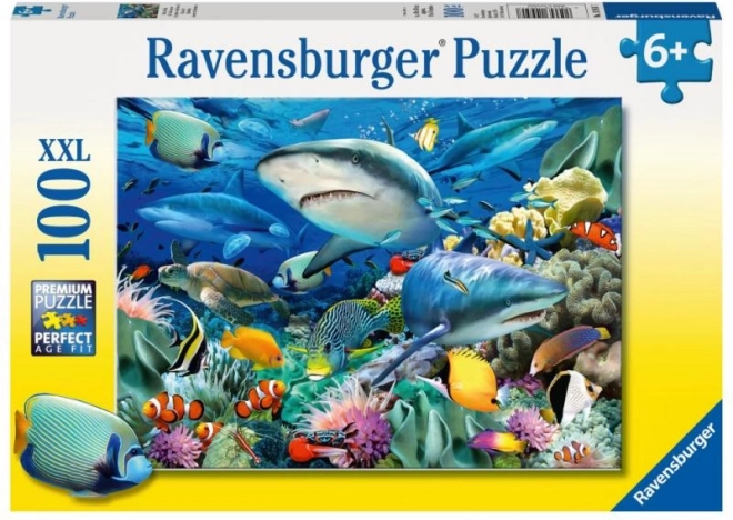 Puzzle Récif de Requins de Ravensburger