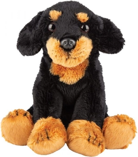 Chien en peluche Teckel